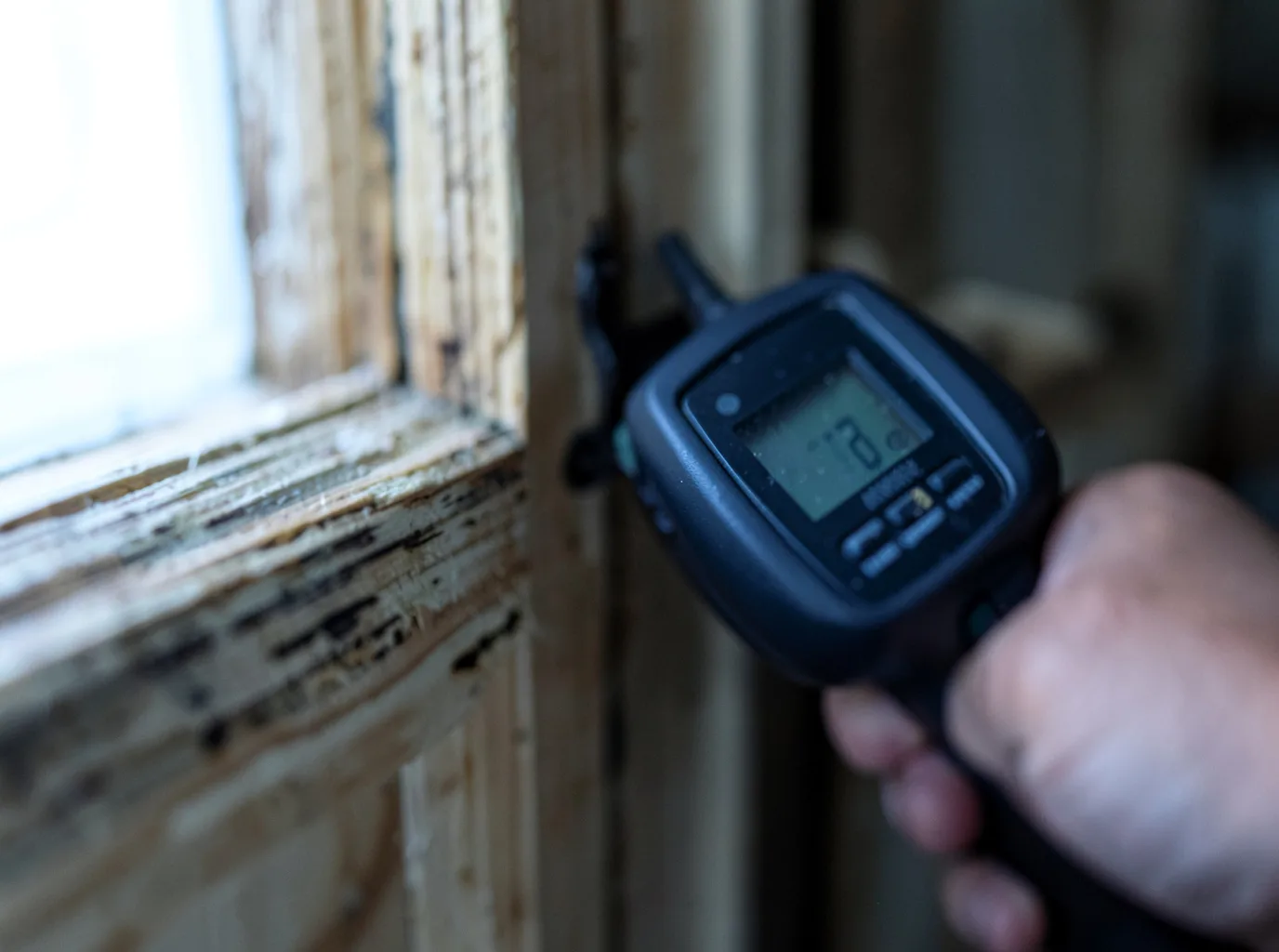 Moisture Inspection And Documentation in Institute, WV